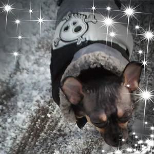 Meet your Posher, Ryan